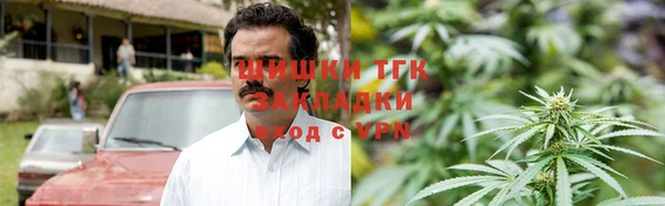 прущие грибы Белокуриха