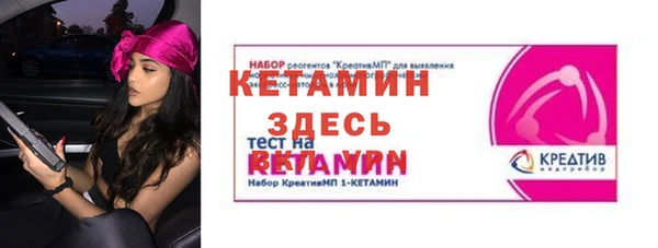 прущие грибы Белокуриха