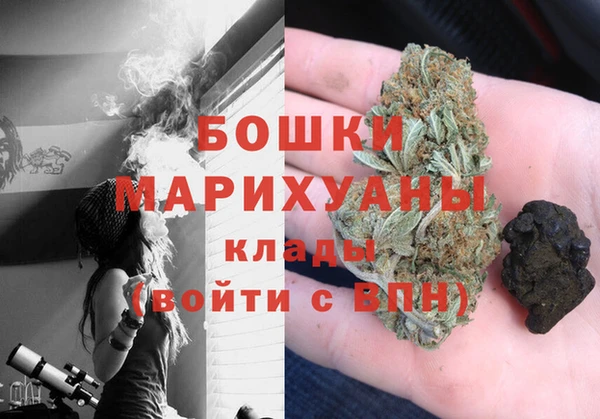 прущие грибы Белокуриха