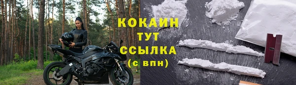 прущие грибы Белокуриха