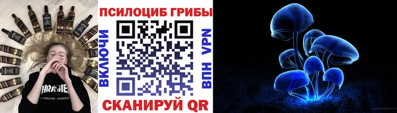 Купить закладки  Мончегорск  Псилоцибиновые грибы ЛСД 